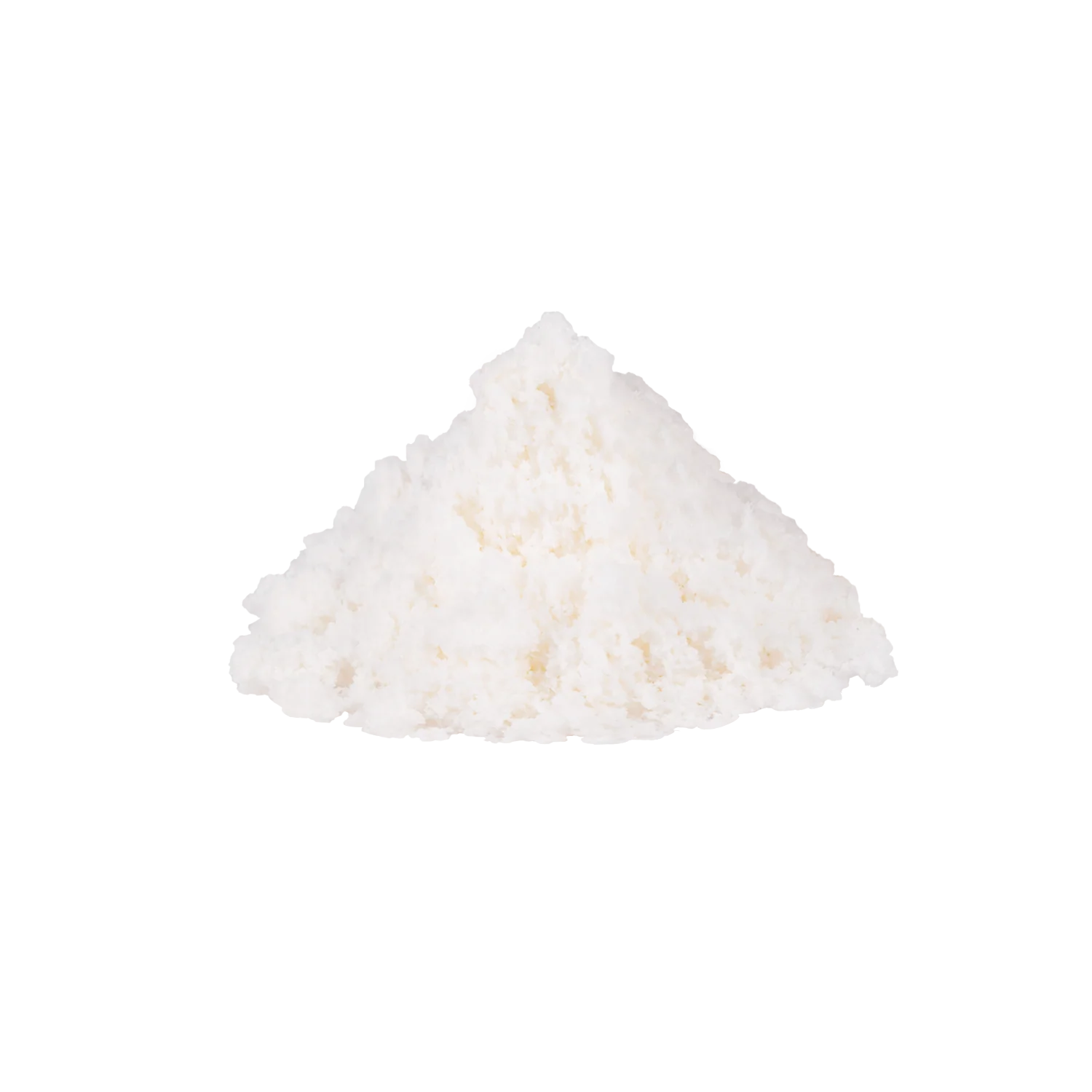 Coconut Powder - Bag (2.2 lbs) - Image 4