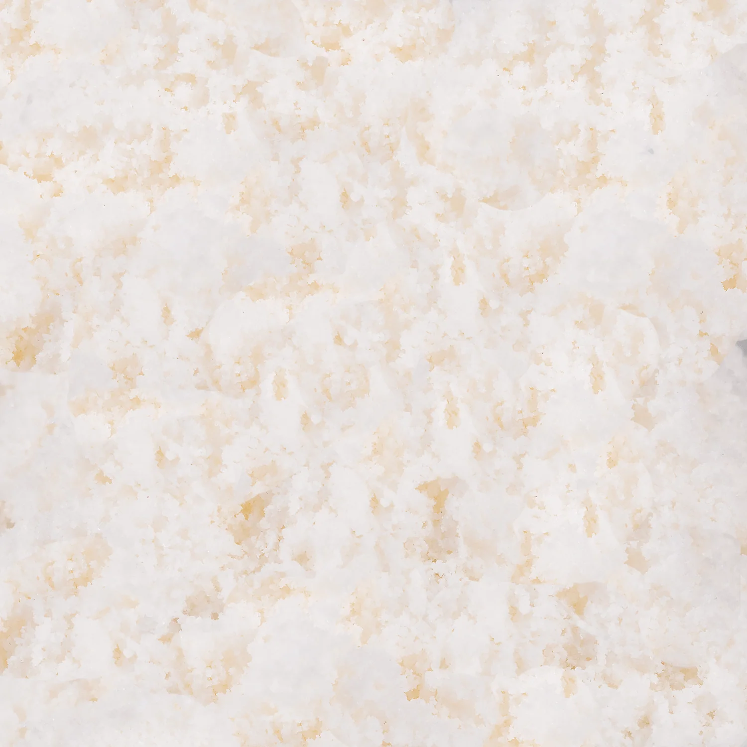 Coconut Powder - Bag (2.2 lbs) - Image 5