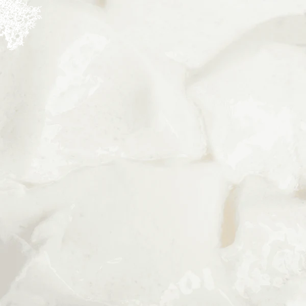 Milk Pudding Mix - Bag (2.2 lbs) - Image 6