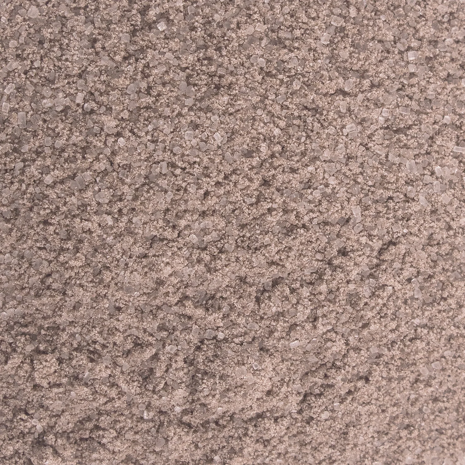 MochaBLAST Mocha Latte Powder- Bag (2 lbs) - Image 5