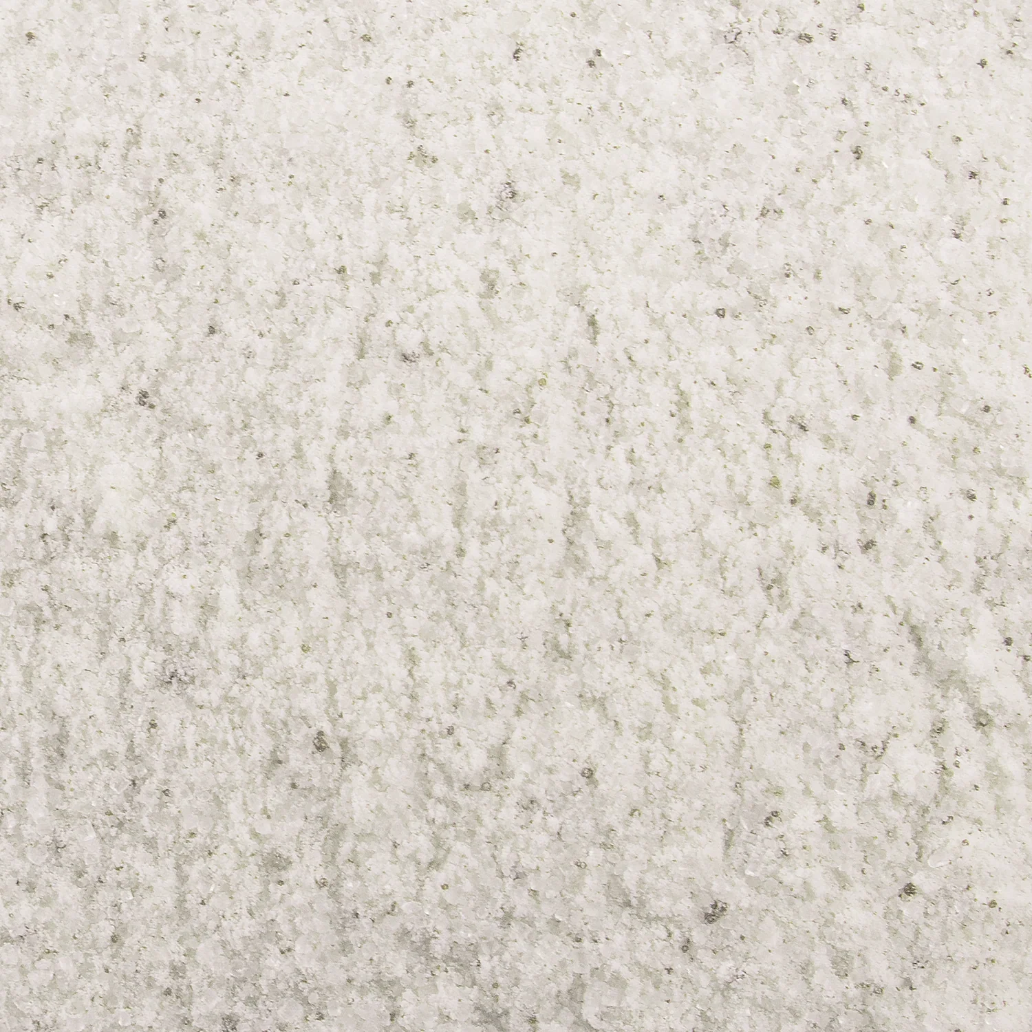 MochaBLAST Vanilla Latte Powder - Bag (2 lbs) - Image 5