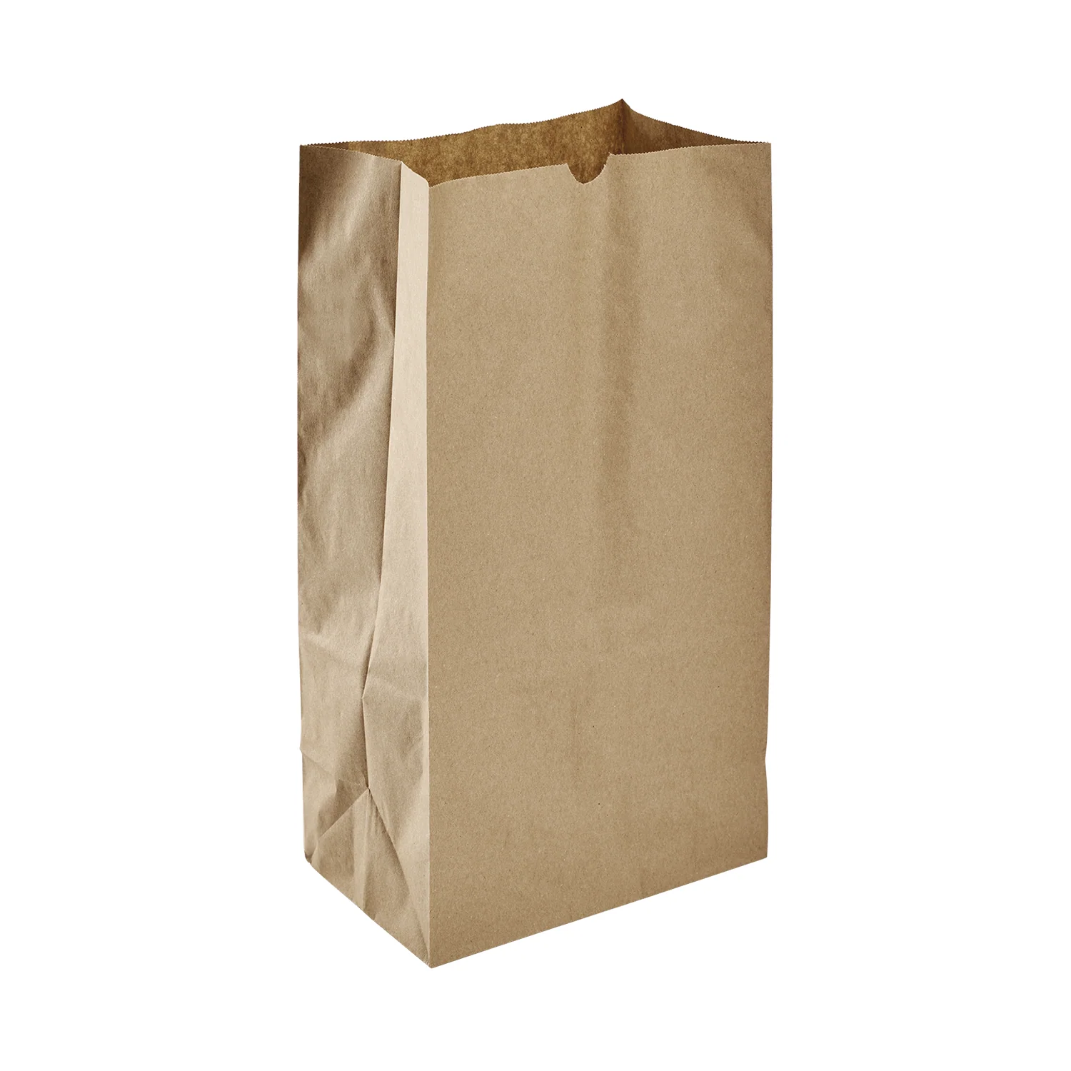 [500 – 2000 ct] Paper Bags | 2 – 20 lb - Image 9