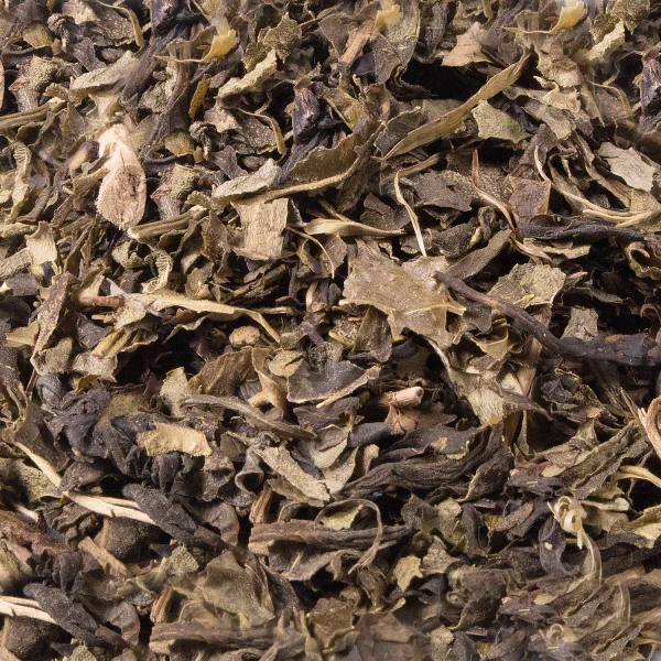 Premium Jasmine Green Tea Leaves - Case of 25 bags - Image 5