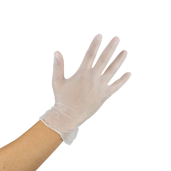 [1,000 ct] Vinyl Gloves | Latex-Free | Powder-Free | Clear | Large - Image 2