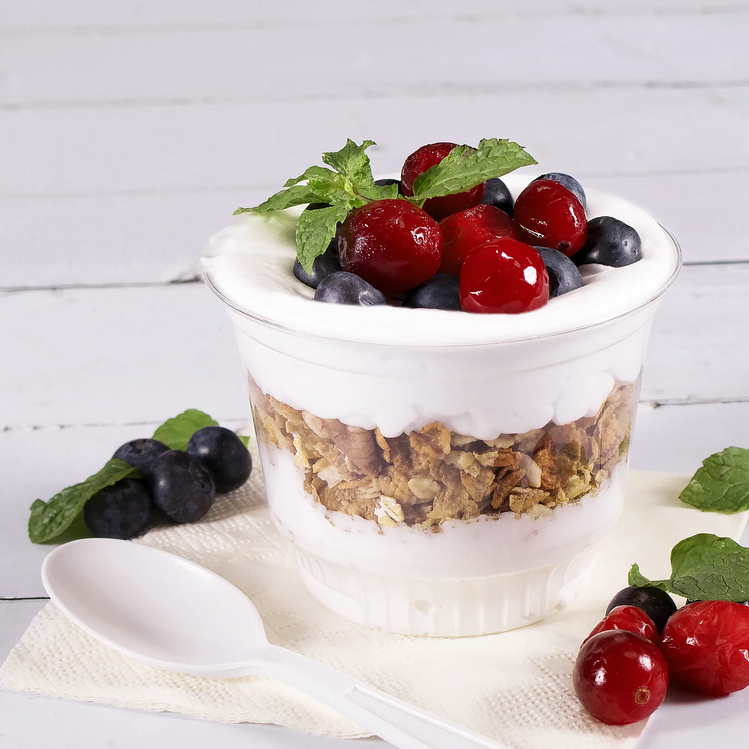 Yogurt Powder - Bag (2.2 lbs) - Image 2